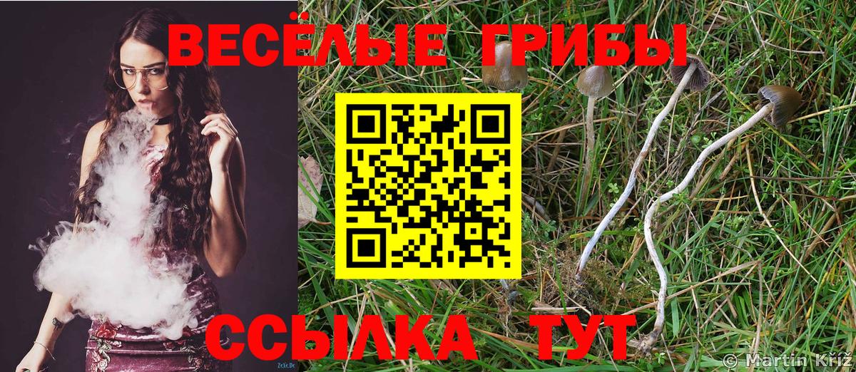 Псилоцибиновые грибы GOLDEN TEACHER  Вход с VPN  Михайловск 