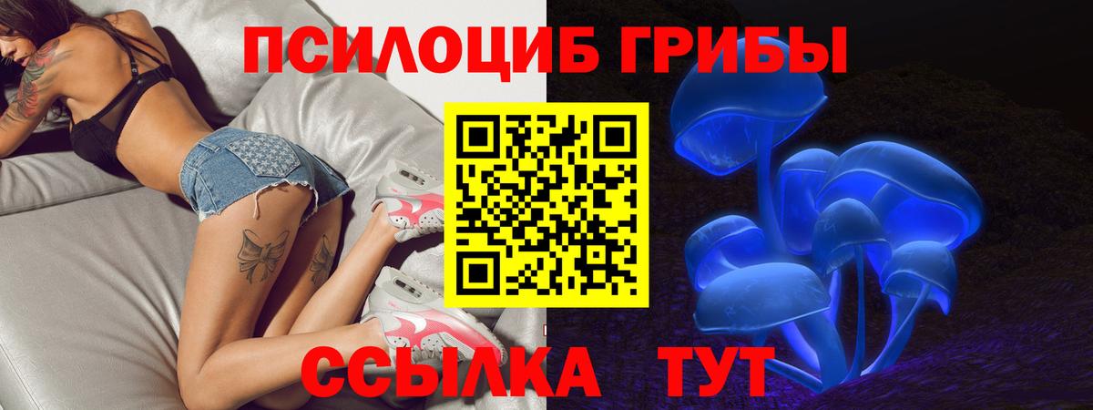 Галлюциногенные грибы прущие грибы Михайловск